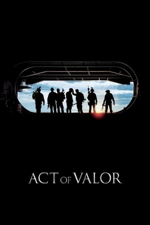 Act of Valor (2012) Hindi Dual Audio | Hindi Dubbed Movie BluRay [1.1GB]