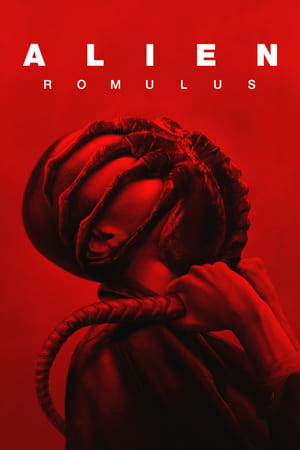 Alien: Romulus 2024 Hindi (Org) Dual Audio Web-DL | Hindi Dubbed Movie – 720p – 480p