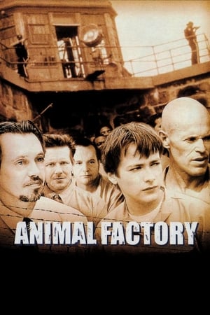 Animal Factory (2000) Hindi Dual Audio | Hindi Dubbed Movie BluRay 300MB