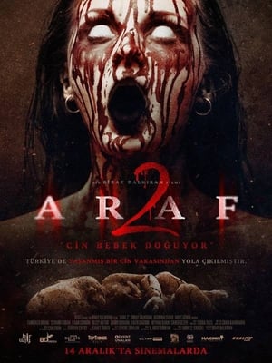 Araf 2 2019 Hindi Dual Audio | Hindi Dubbed Movie Web-DL 300MB