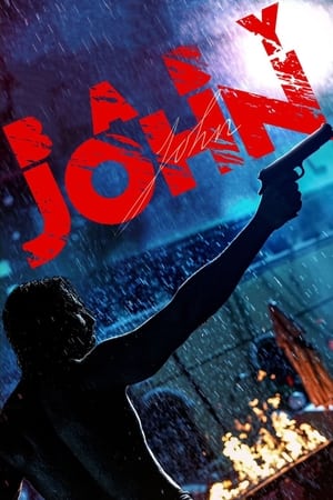 Baby John (2024) Hindi (DD5.1) WEB-DL | Hindi Dubbed Movie