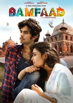 Bamfaad 2020 Hindi Movie | Hindi Dubbed Movie HDRip - [300MB]