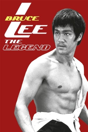Bruce Lee the Legend 1984 Hindi Dual Audio | Hindi Dubbed Movie HDTVRip [1GB]