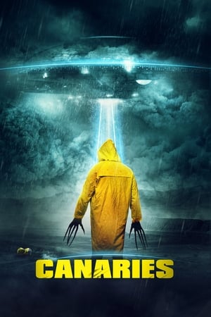 Canaries (2017) Hindi Dual Audio | Hindi Dubbed Movie WebRip 300MB