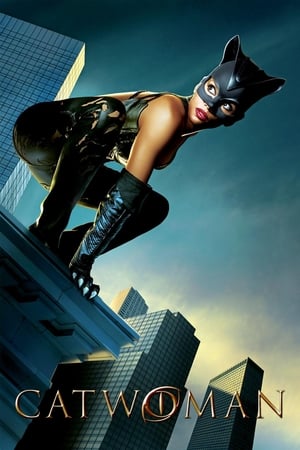 Catwoman (2004) Hindi Dual Audio | Hindi Dubbed Movie BDRip [930MB]