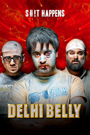 Delhi Belly 2011 Full Movie Download DVDRip | Hindi Dubbed Movie [750MB]