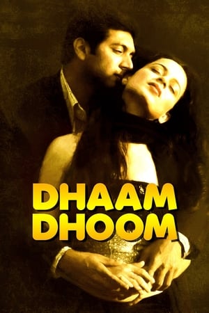 Dhaam Dhoom 2008 Dual Audio [Hindi - Tamil] 430MB UnCut | Hindi Dubbed Movie HDRip Download