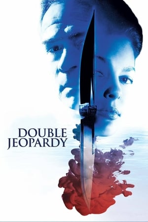 Double Jeopardy 1999 Hindi Dual Audio | Hindi Dubbed Movie Web-DL 350MB
