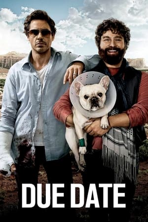 Due Date (2010) Hindi Dual Audio | Hindi Dubbed Movie BluRay 300MB