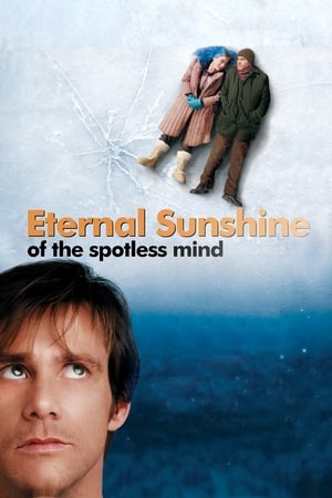 Eternal Sunshine Of The Spotless Mind 2004 Hindi Dual Audio | Hindi Dubbed Movie BluRay 300MB