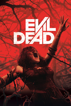 Evil Dead 2013 Hindi Dual Audio | Hindi Dubbed Movie BluRay 300MB