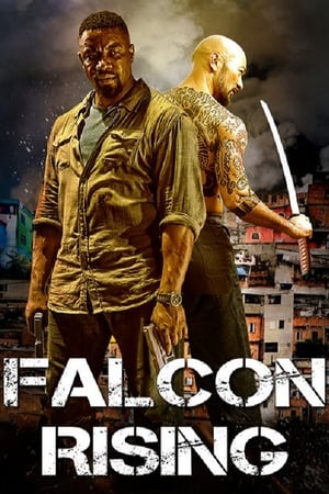 Falcon Rising (2014) Hindi Dual Audio | Hindi Dubbed Movie BluRay 300MB