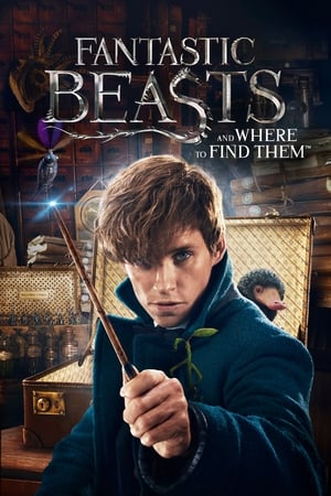 Fantastic Beasts and Where to Find Them 2016 Dual Audio (Hindi) | Hindi Dubbed Movie Bluray [300MB]