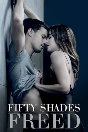 Fifty Shades Freed (2018) Hindi Dual Audio | Hindi Dubbed Movie BluRay 400MB
