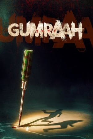 Gumraah 2023 Hindi Web-DL | Hindi Dubbed Movie | 480p