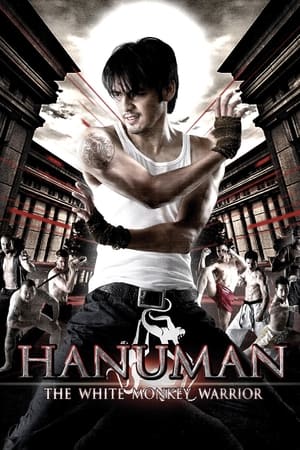 Hanuman The White Monkey Warrior 2008 Hindi Dual Audio | Hindi Dubbed Movie BluRay [1.1GB]