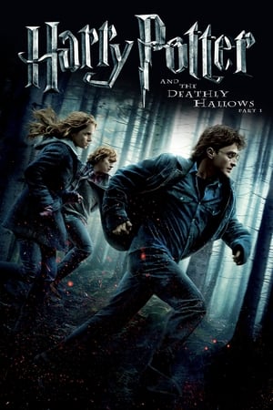Harry Potter and the Deathly Hallows 2010 – Part 1 Hindi Dubbed Bluray | Hindi Dubbed Movie [1.0GB] Download