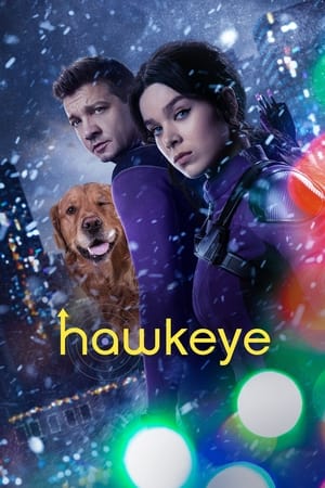 HawkEye (2021) Season 1 Dual Audio Hindi HDRip | Hindi Dubbed Movie – 480p [1- 6 Episodes]