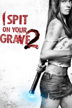 I Spit on Your Grave 2 (2013) Hindi Dual Audio HDRip | Hindi Dubbed Movie – 480p