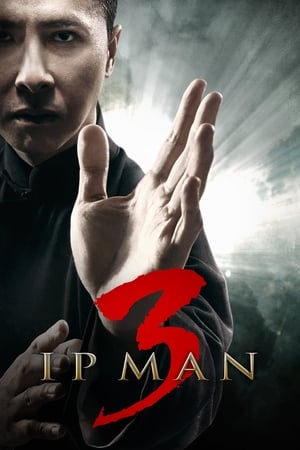 Ip Man 3 (2015) Hindi Dual Audio | Hindi Dubbed Movie HDRip [900MB]