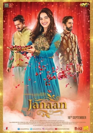 Janaan (2016) Movie (Pakistani) | Hindi Dubbed Movie TVRip [350MB]