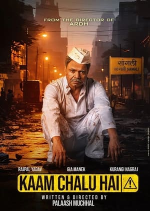 Kaam Chalu Hai 2024 Hindi HDRip | Hindi Dubbed Movie – 480p – 1080p