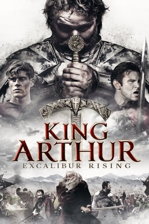 King Arthur: Excalibur Rising 2017 Hindi Dual Audio HDRip | Hindi Dubbed Movie – 480p