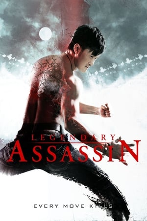Legendary Assassin (2008) Hindi Dual Audio | Hindi Dubbed Movie BluRay 300MB