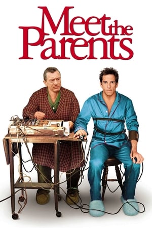 Meet the Parents 2000 Hindi Dual Audio | Hindi Dubbed Movie BluRay 350MB