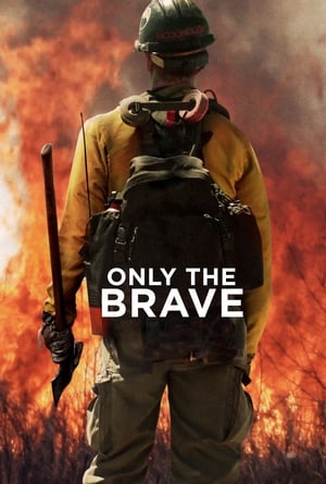 Only the Brave 2017 Hindi Dual Audio HDRip | Hindi Dubbed Movie – 480p