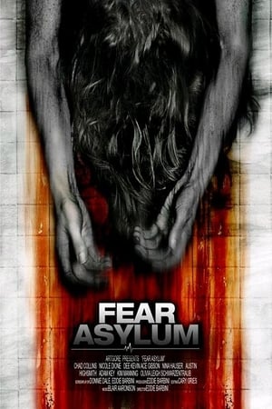 Room 33 (2009) Hindi Dual Audio | Hindi Dubbed Movie DVDRip 300MB
