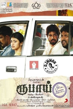 Rubaai (2017) Hindi Dual Audio | Hindi Dubbed Movie UnCut HDRip 400MB