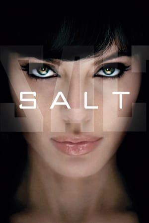 Salt (2010) Hindi Dual Audio | Hindi Dubbed Movie BluRay [800MB]