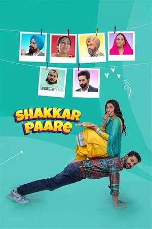 Shakkar Paare 2022 Punjabi Movie Pre-DVDRip | Hindi Dubbed Movie – 480p