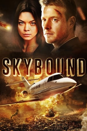 Skybound (2017) Hindi Dual Audio | Hindi Dubbed Movie BluRay 350MB