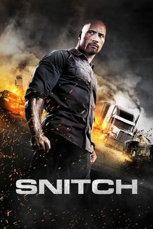 Snitch (2013) Hindi Dual Audio | Hindi Dubbed Movie BluRay 350MB