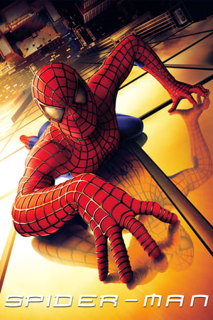 Spider-Man (2002) Hindi Dual Audio | Hindi Dubbed Movie BluRay [820MB]