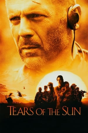 Tears of the Sun 2003 Hindi Dual Audio | Hindi Dubbed Movie BluRay 360MB