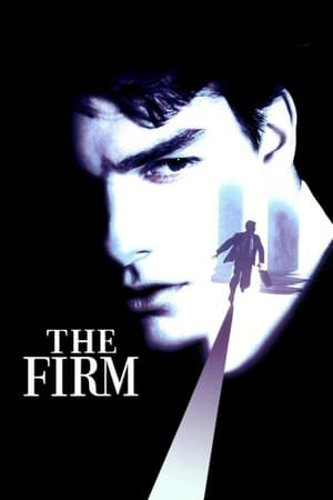 The Firm (1993) Hindi Dual Audio | Hindi Dubbed Movie BluRay 450MB