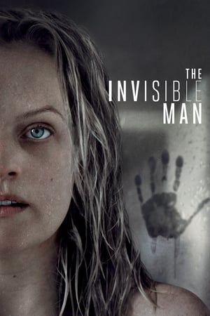 The Invisible Man (2020) Hindi (ORG) Dual Audio | Hindi Dubbed Movie BluRay 400MB