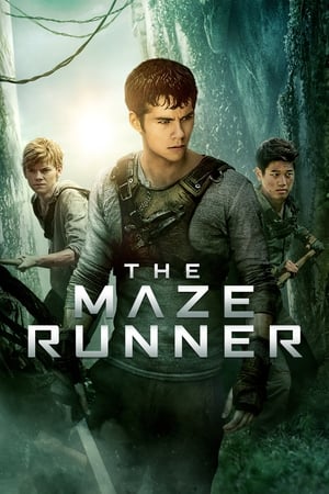 The Maze Runner (2014) Hindi Dual Audio | Hindi Dubbed Movie BluRay 400MB