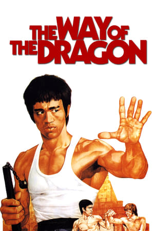 The Way of the Dragon (1972) Hindi Dual Audio | Hindi Dubbed Movie BluRay 300MB