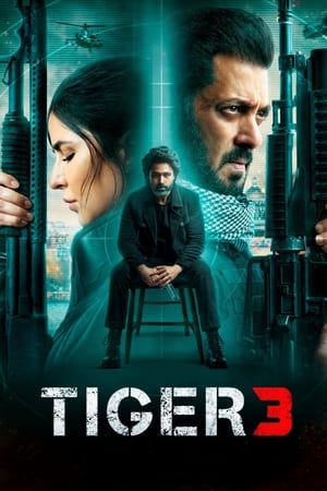Tiger 3 2023 Hindi (ORG) Web-DL | Hindi Dubbed Movie – 480p