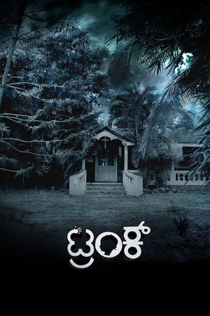 Trunk (2018) (Hindi – Kannada) Dual Audio | Hindi Dubbed Movie UnCut HDRip 450MB