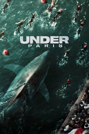 Under Paris 2024 Hindi Dual Audio HDRip | Hindi Dubbed Movie – 720p – 480p
