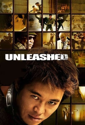 Unleashed (2005) Hindi Dual Audio | Hindi Dubbed Movie BluRay 360MB