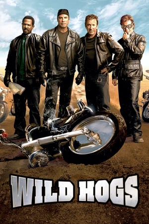 Wild Hogs (2007) Hindi Dual Audio | Hindi Dubbed Movie BluRay 340MB