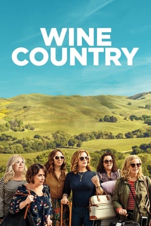 Wine Country (2019) Hindi Dual Audio | Hindi Dubbed Movie Web-DL 350MB