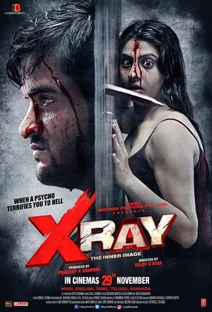 X Ray The Inner Image 2019 Hindi Movie | Hindi Dubbed Movie HDRip x264 [900MB]