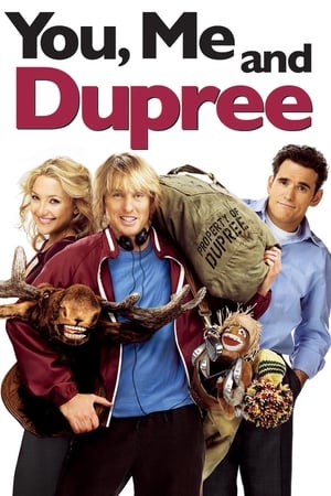 You Me and Dupree 2006 Hindi Dual Audio | Hindi Dubbed Movie BluRay 360MB
